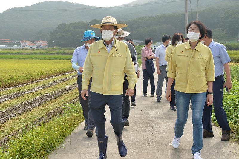 [기획]_2020_첫벼베기_(3)